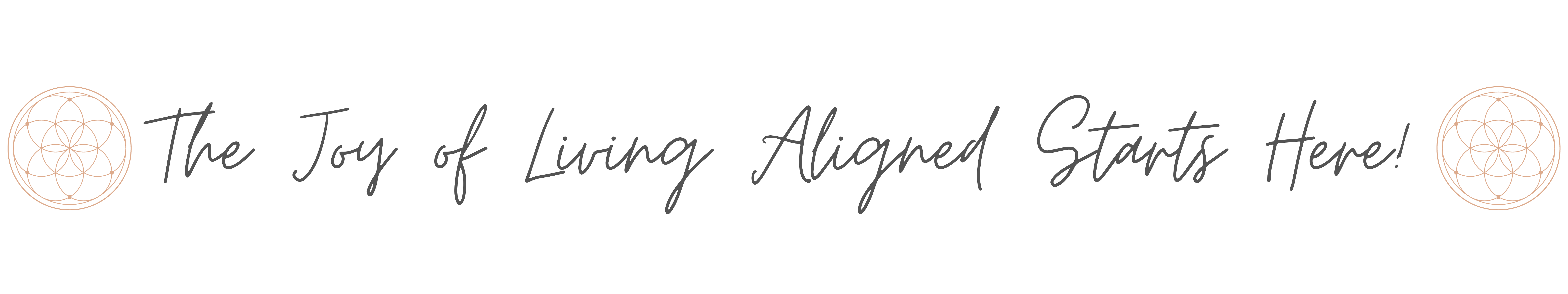 Joy of Aligned Living Banner CV Page Debra Trappen